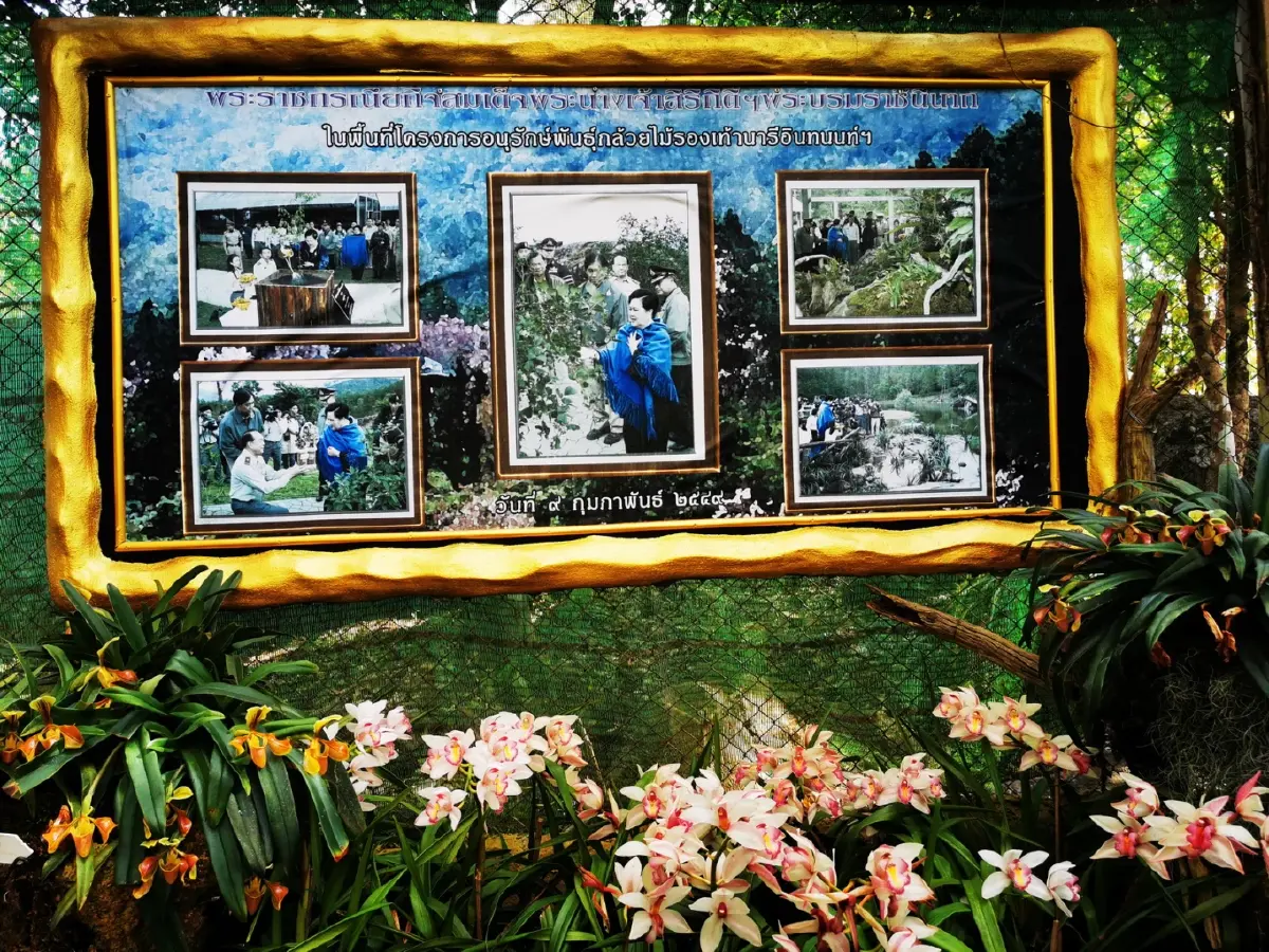 ด้วยพระบารมี... ‘รองเท้านารี’ จึงอยู่คู่ป่าไทย