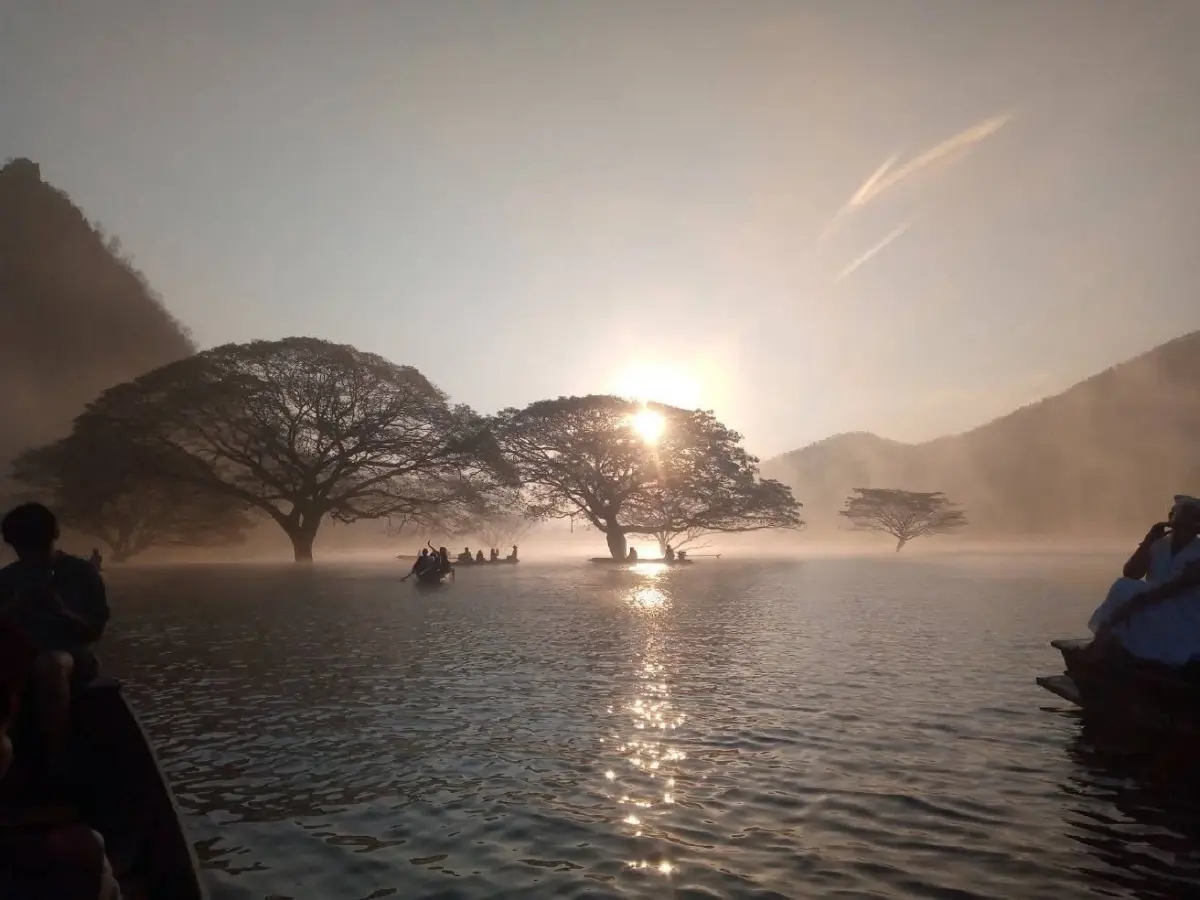 สุดอันซีน 'ต้นฉำฉากลางน้ำ' จุดเช็คอินใหม่กลางเขื่อนแม่งัดฯ เชียงใหม่