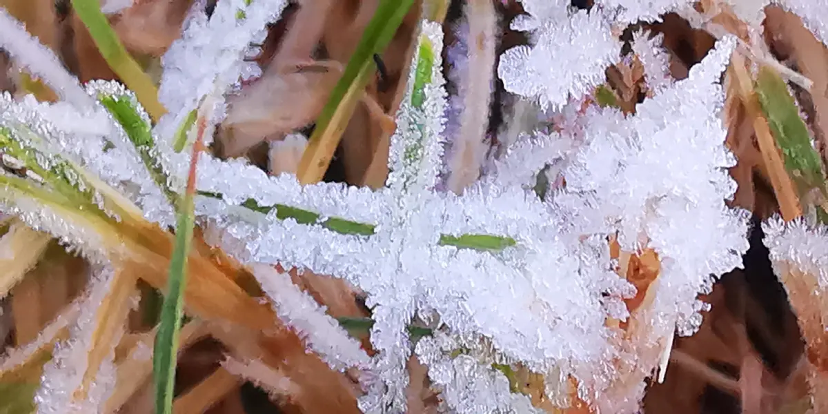 ดอยอินทนนท์ หนาวมาก 2°C นักท่องเที่ยวสัมผัสอากาศหนาว ดูแม่คะนิ้ง