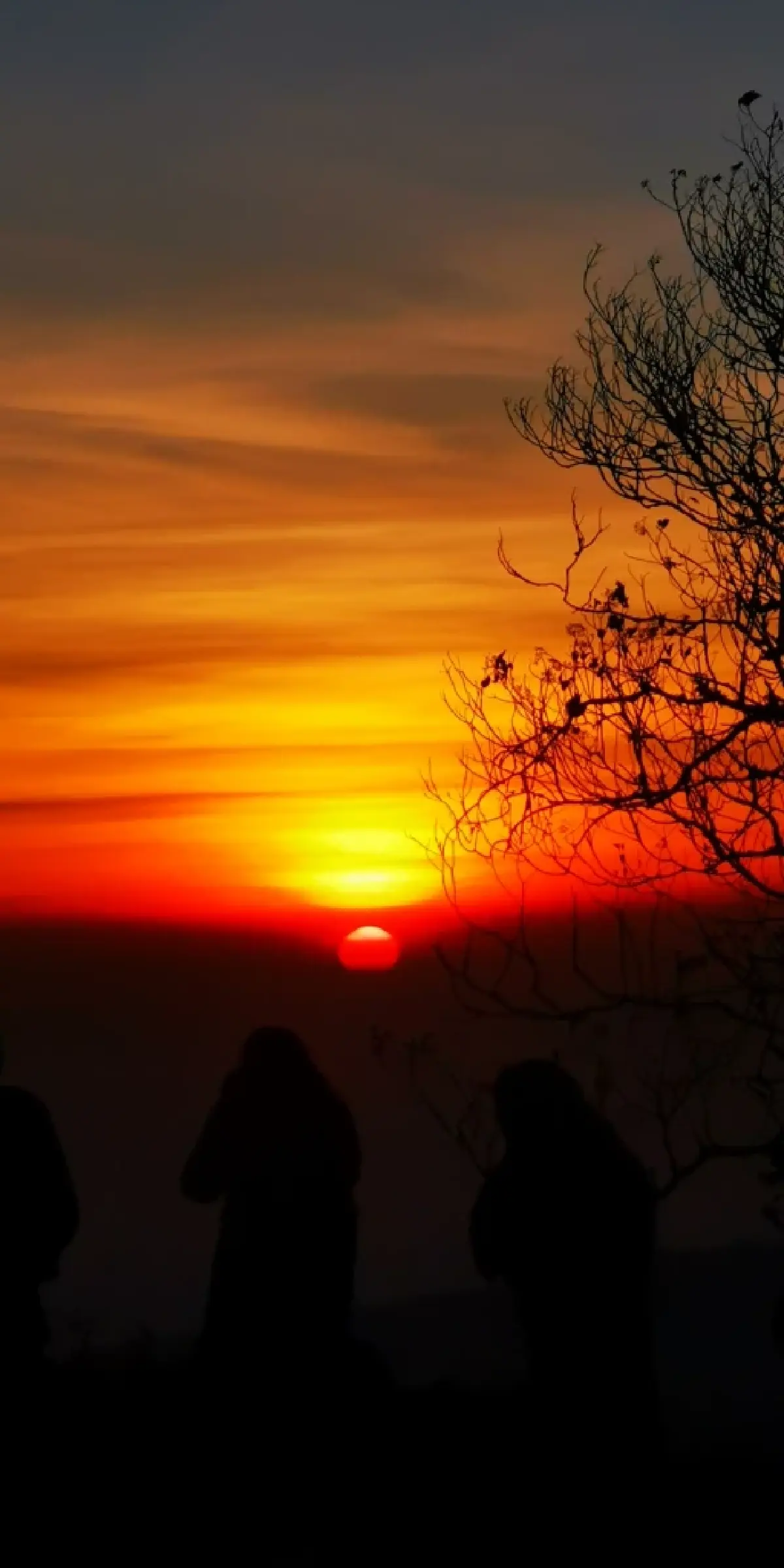 ดอยอินทนนท์ หนาวมาก 2°C นักท่องเที่ยวสัมผัสอากาศหนาว ดูแม่คะนิ้ง