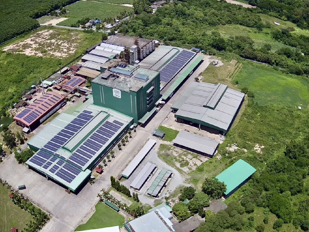 โรงงานอาหารสัตว์น้ำบ้านบึง ซีพีเอฟ รับมาตรฐาน ASC Feed ร่วมยกระดับขีดความสามารถกุ้งไทย