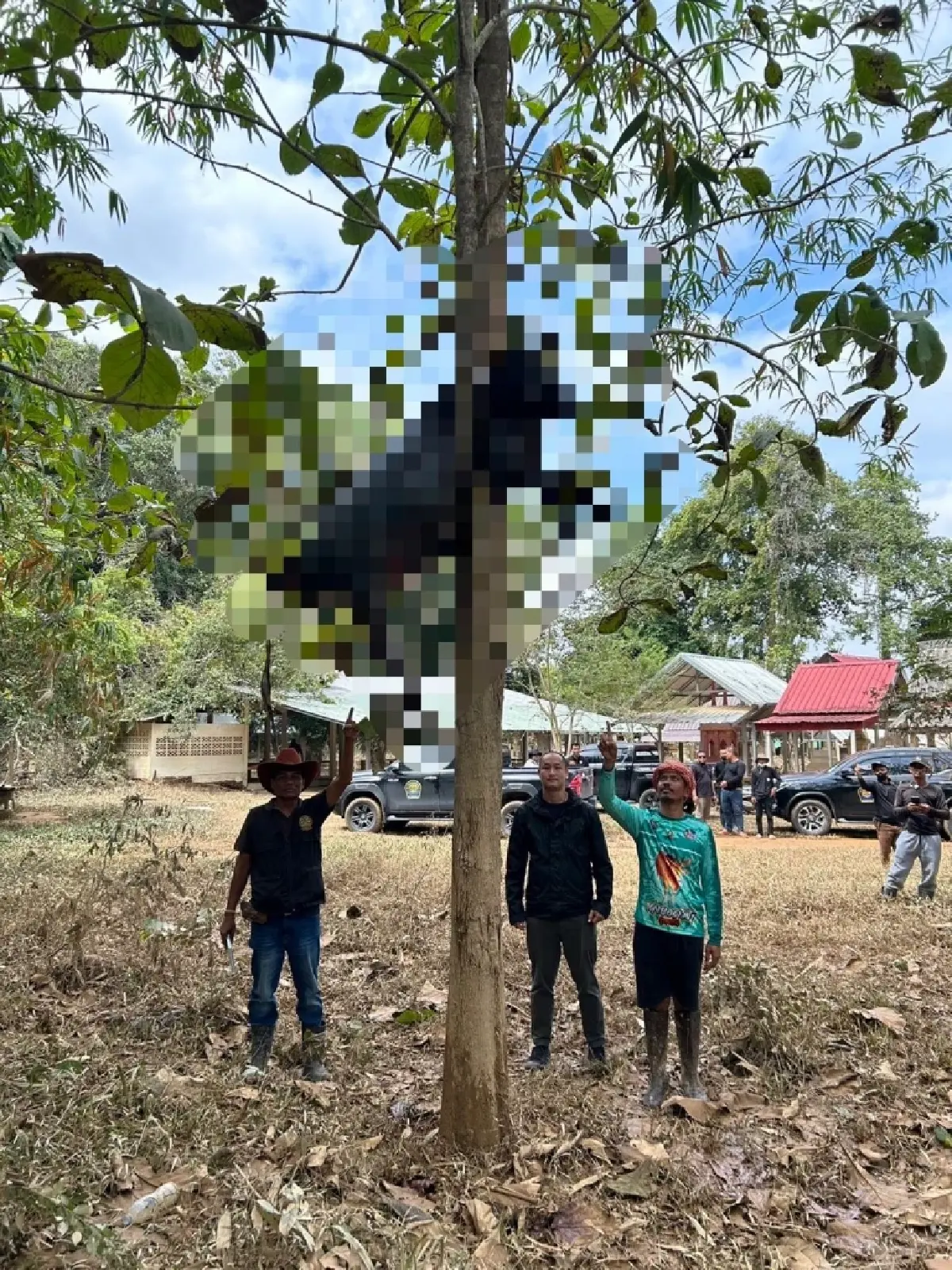 น้ำท่วมภาคใต้ สัตว์เล็ก-ใหญ่ตายเกลื่อน เร่งเก็บซากฝังกลบ ป้องกันโรคระบาด