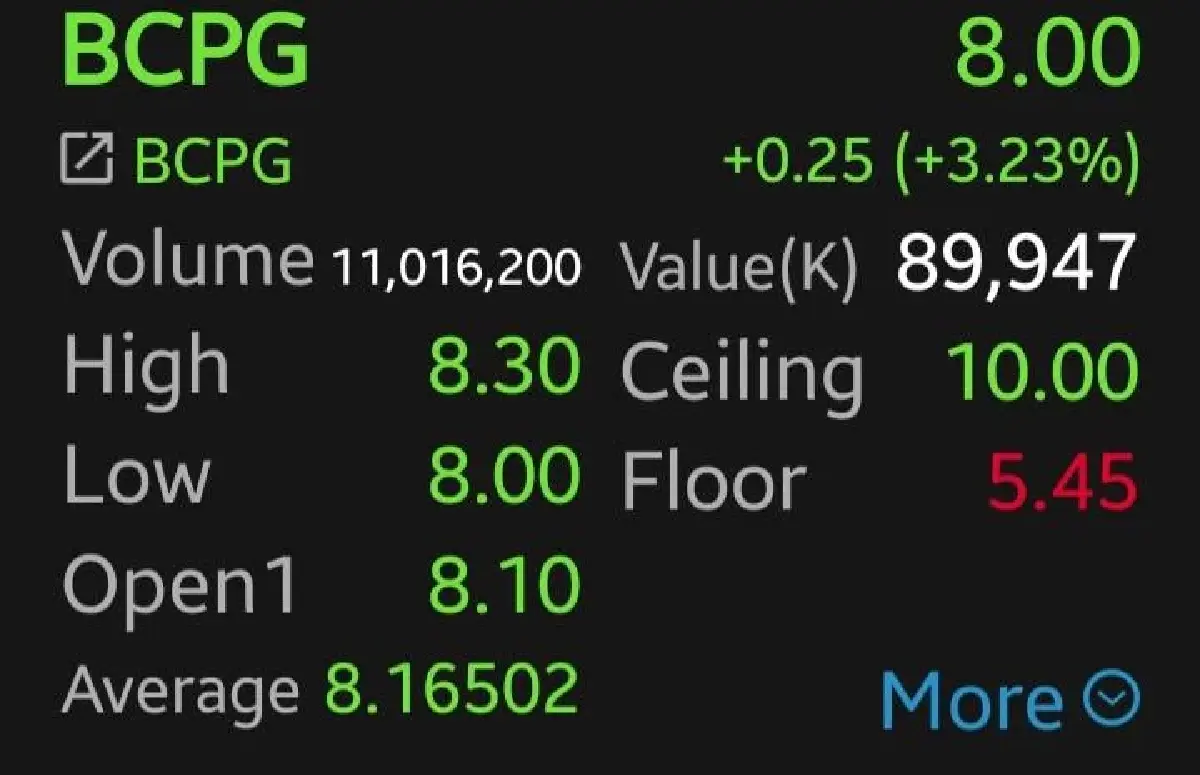 หุ้น BCPG บวก 3.23% กำไรเติบโตกว่า 57% ทำสถิติสูงสุดใหม่