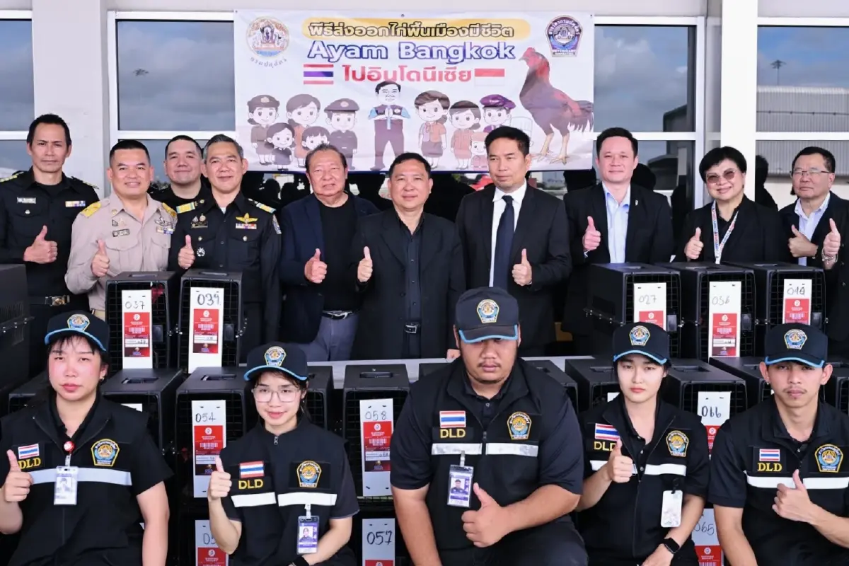 ไทยส่งไก่‘ Ayam Bangkok’ ไปอินโดนีเซียต่อเนื่อง มูลค่าสะสมกว่า 50 ล้านบาท