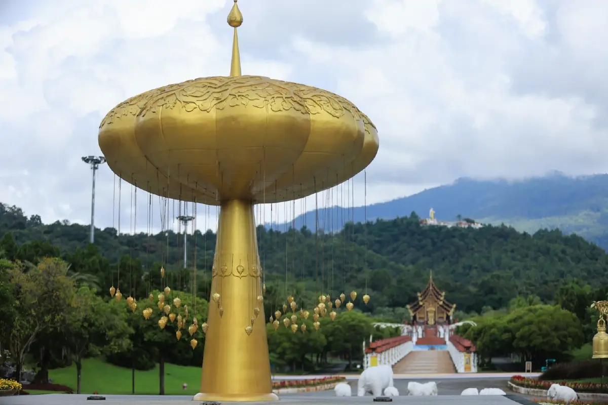 ความสุขบานสะพรั่งที่ 'อุทยานหลวงราชพฤกษ์' ชมดอนญ่าควีนสิริกิติ์