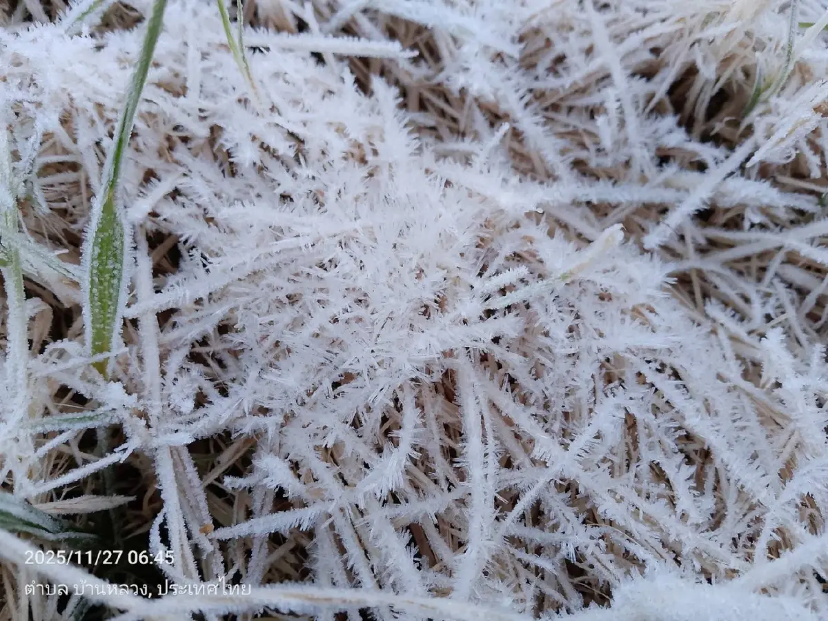 ดอยอินทนนท์ หนาวมาก 2°C นักท่องเที่ยวสัมผัสอากาศหนาว ดูแม่คะนิ้ง