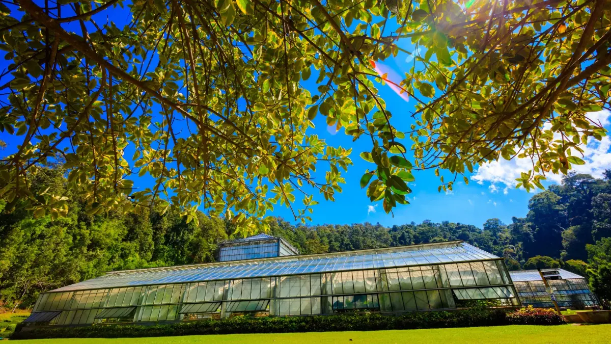 ชวนเที่ยว ‘สวนพฤกษศาสตร์สมเด็จพระนางเจ้าสิริกิติ์’ จ.เชียงใหม่