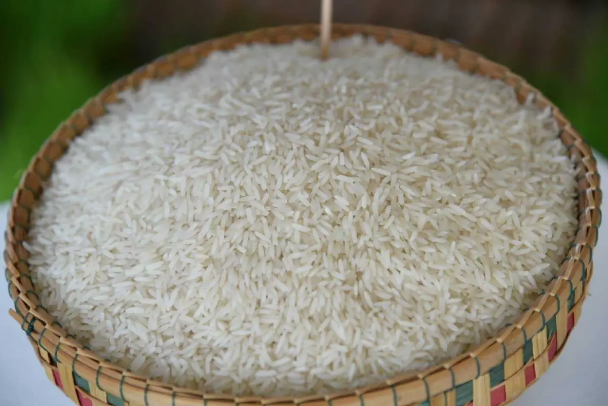 ราคาข้าวเปลือกดีดขึ้นรับออร์เดอร์ใหม่ ขณะพ.ย.ผลผลิต17ล้านตันเตรียมทะลัก