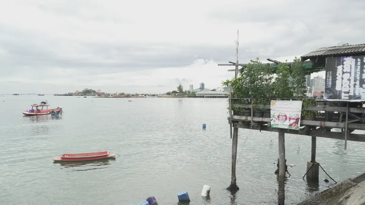 เที่ยวศรีราชา ปักหมุด 'ชุมชนบ้านใน' เรียนรู้การอนุรักษ์ สัมผัสวิถีทะเลใกล้กรุง