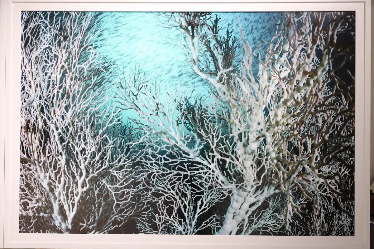 สยามพารากอน ชวนสัมผัสความงดงามของท้องทะเล ในนิทรรศการ TIDE OF TOMORROW