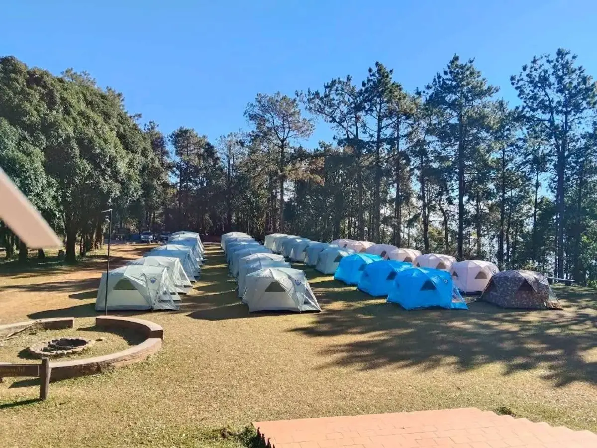 หนาวนี้ชวนเที่ยว 'อุทยานแห่งชาติดอยผ้าห่มปก' ชมความงาม 'ดอกนางพญาเสือโคร่ง'