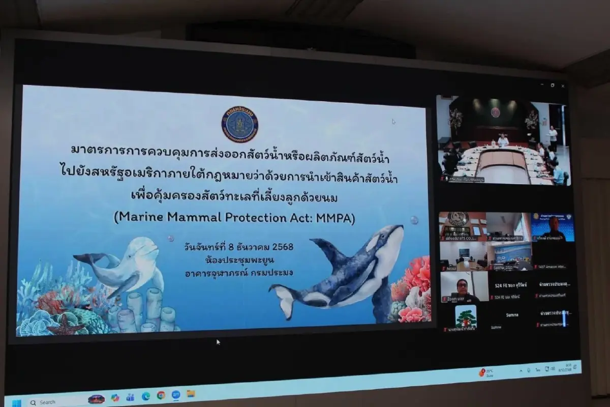 กรมประมงเตรียมพร้อมผู้ประกอบประมงไทย รับกฎMMPA ก่อนสหรัฐฯ บังคับใช้ 1 ม.ค. 2569