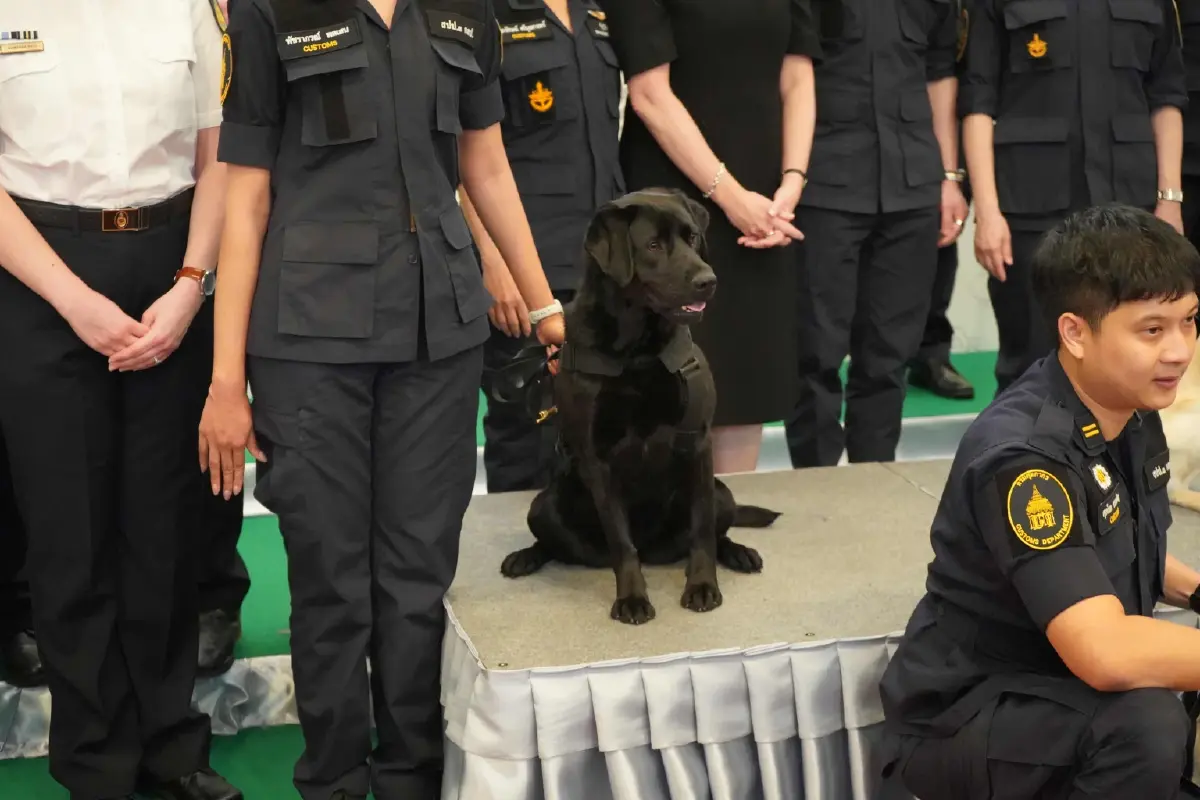 ออสเตรเลียมอบสุนัขตรวจค้นให้กรมศุลกากรไทย