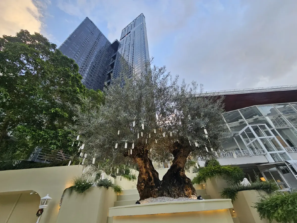 บรันซ์ทั้งวัน ที่ ‘ABBA Café’ สามย่าน ขนมปังฟอคคาเซีย อร่อย