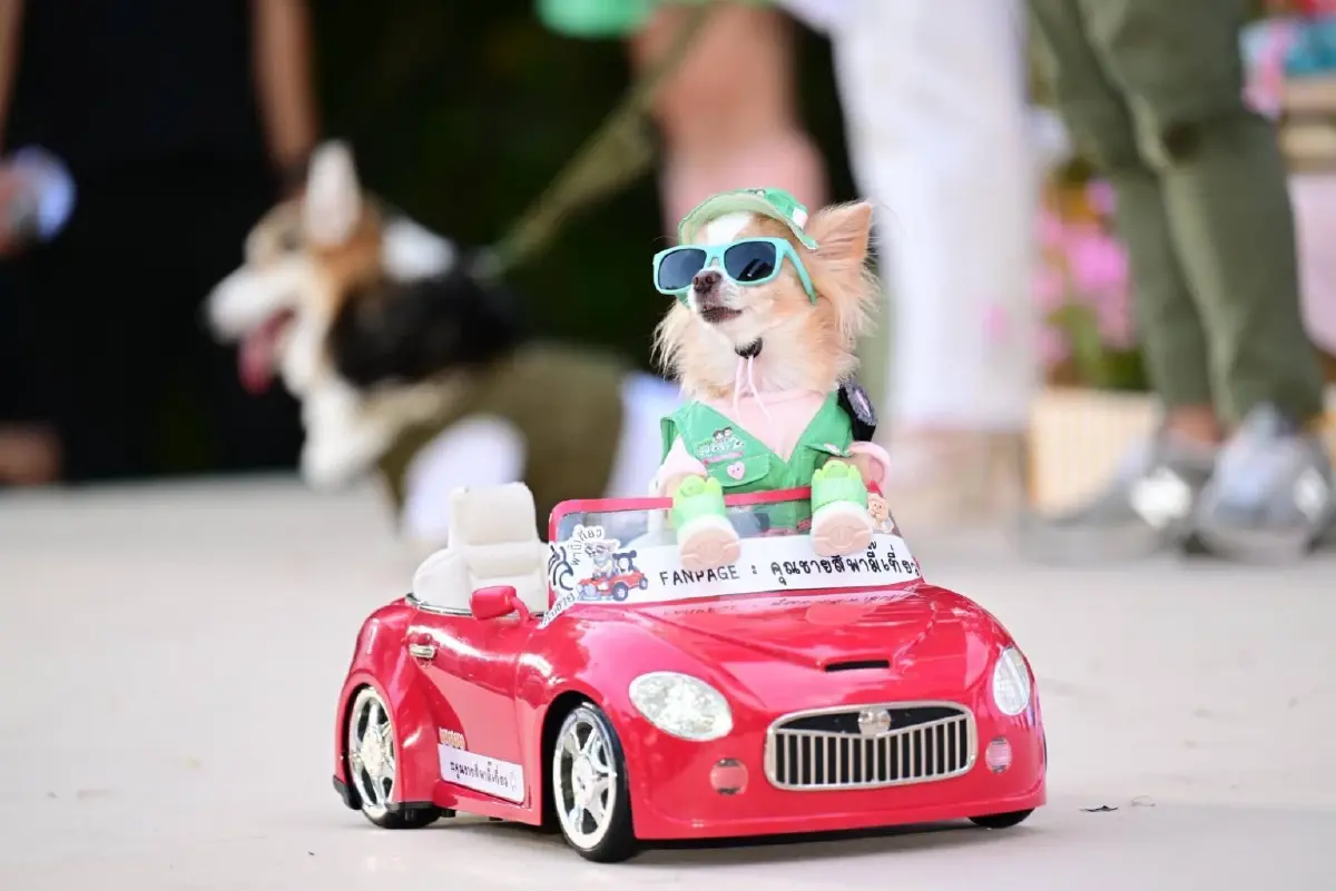 JerHigh จับมือพี่จอง-คัลแลน เปิดงาน ‘ใจฟูDAY2’