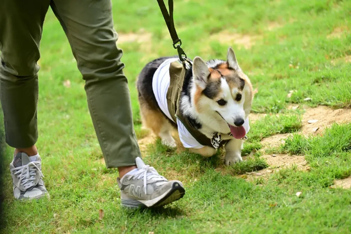 JerHigh จับมือพี่จอง-คัลแลน เปิดงาน ‘ใจฟูDAY2’