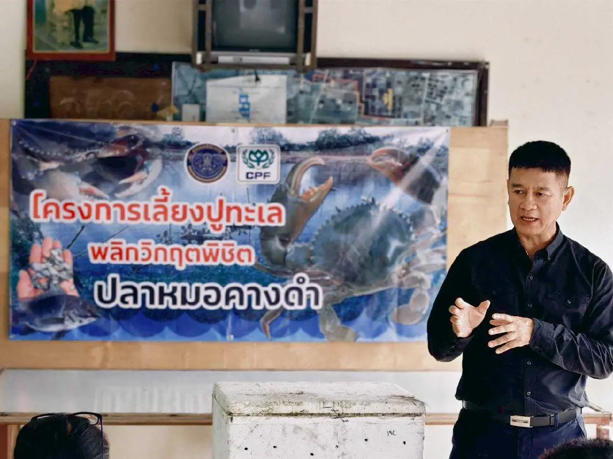 ประมงนครศรีธรรมราช หนุนใช้ปลาหมอคางดำเลี้ยง ปูขาวอินทรีย์