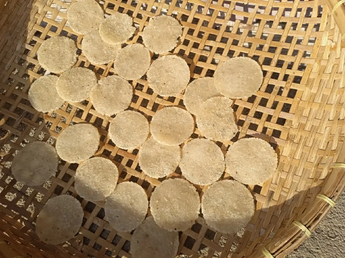 เปลี่ยนเอเลี่ยนตัวป่วน สู่เมนูอร่อย ข้าวตังปลาหย็อง ‘YOUNG ตัง’