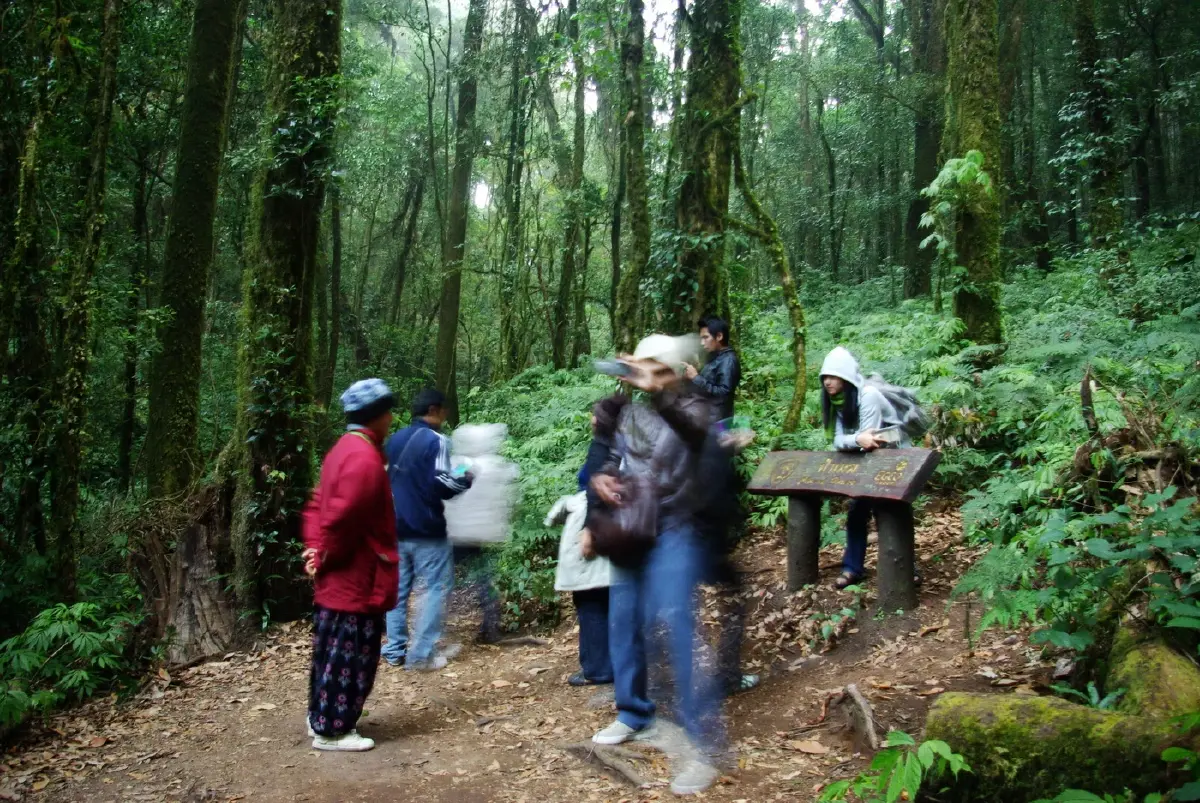 อินทนนท์...ด้วยพระบารมีคุ้มฟ้า