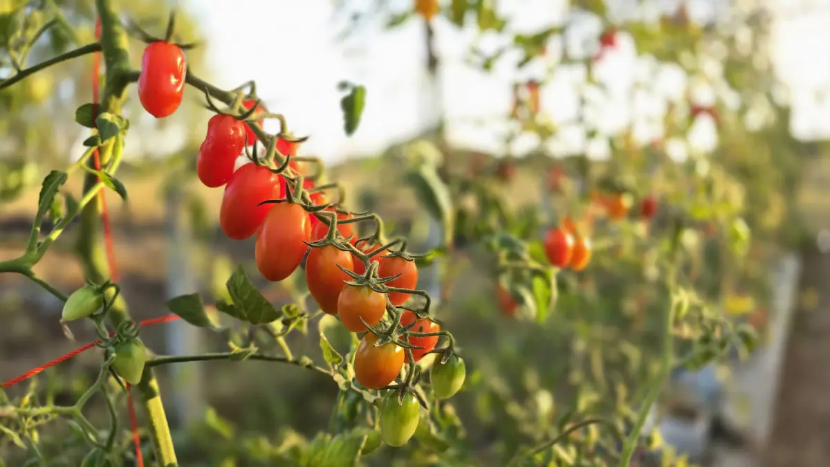 ยกระดับเศรษฐกิจชุมชน ด้วยโครงการ ‘หมู่บ้านนวัตกรรมเพื่อสังคม'