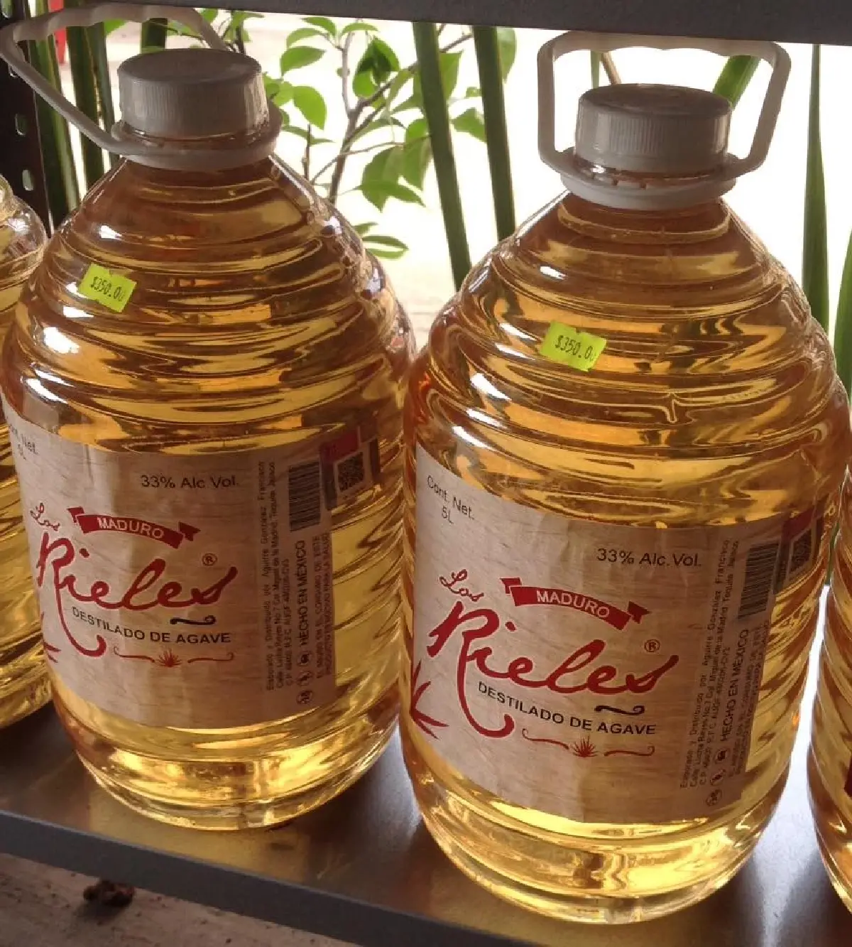 เตกีลา (Tequila) จากสุราชุมชนสู่ระดับโลก