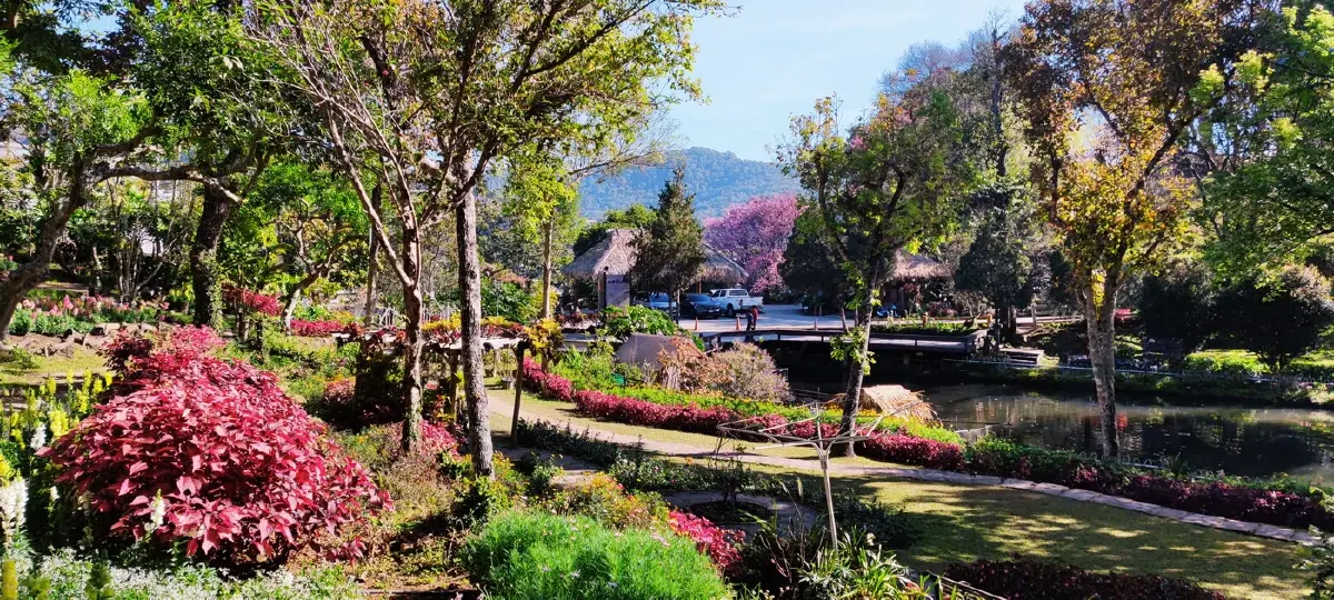 อินทนนท์...ด้วยพระบารมีคุ้มฟ้า