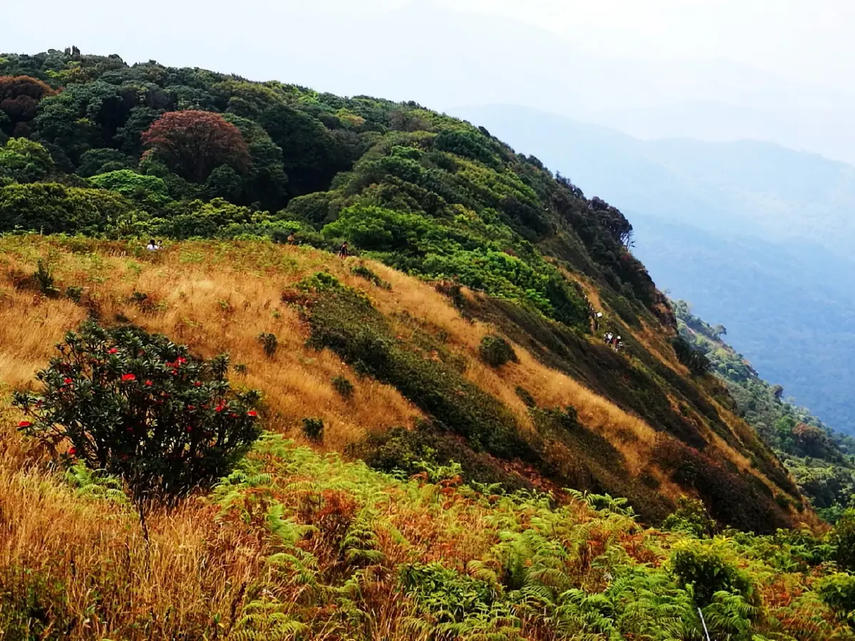 อินทนนท์...ด้วยพระบารมีคุ้มฟ้า