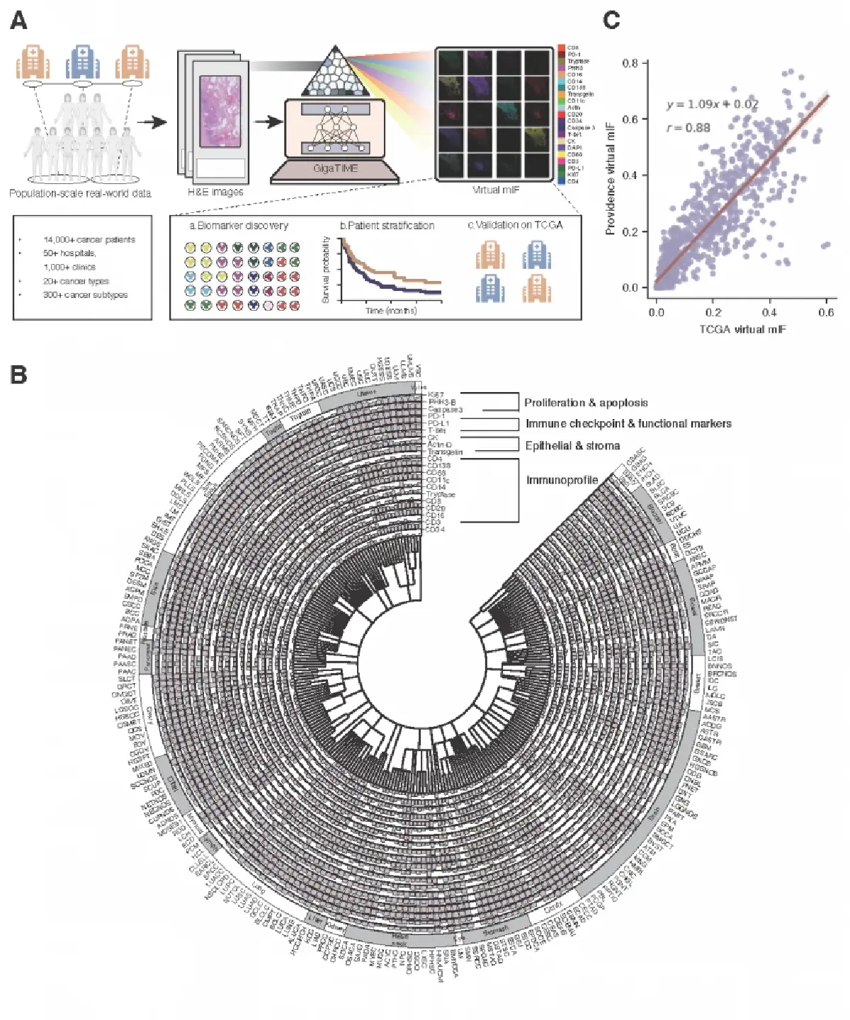 ไมโครซอฟท์ ผนึกพาร์ตเนอร์ ปลุก AI พลิกโฉมพยาธิวิทยา ปลดล็อกความลับ 'เนื้องอกมะเร็ง'