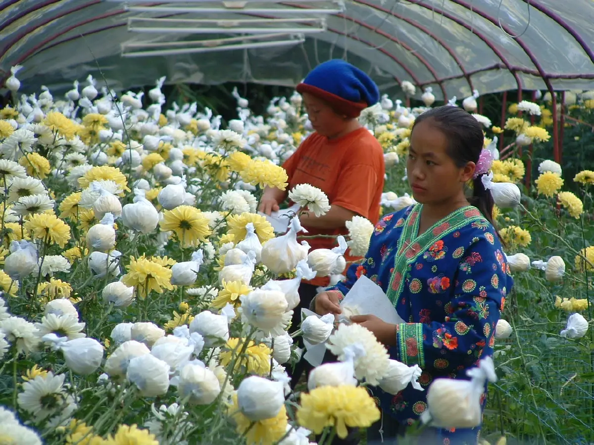 อินทนนท์...ด้วยพระบารมีคุ้มฟ้า