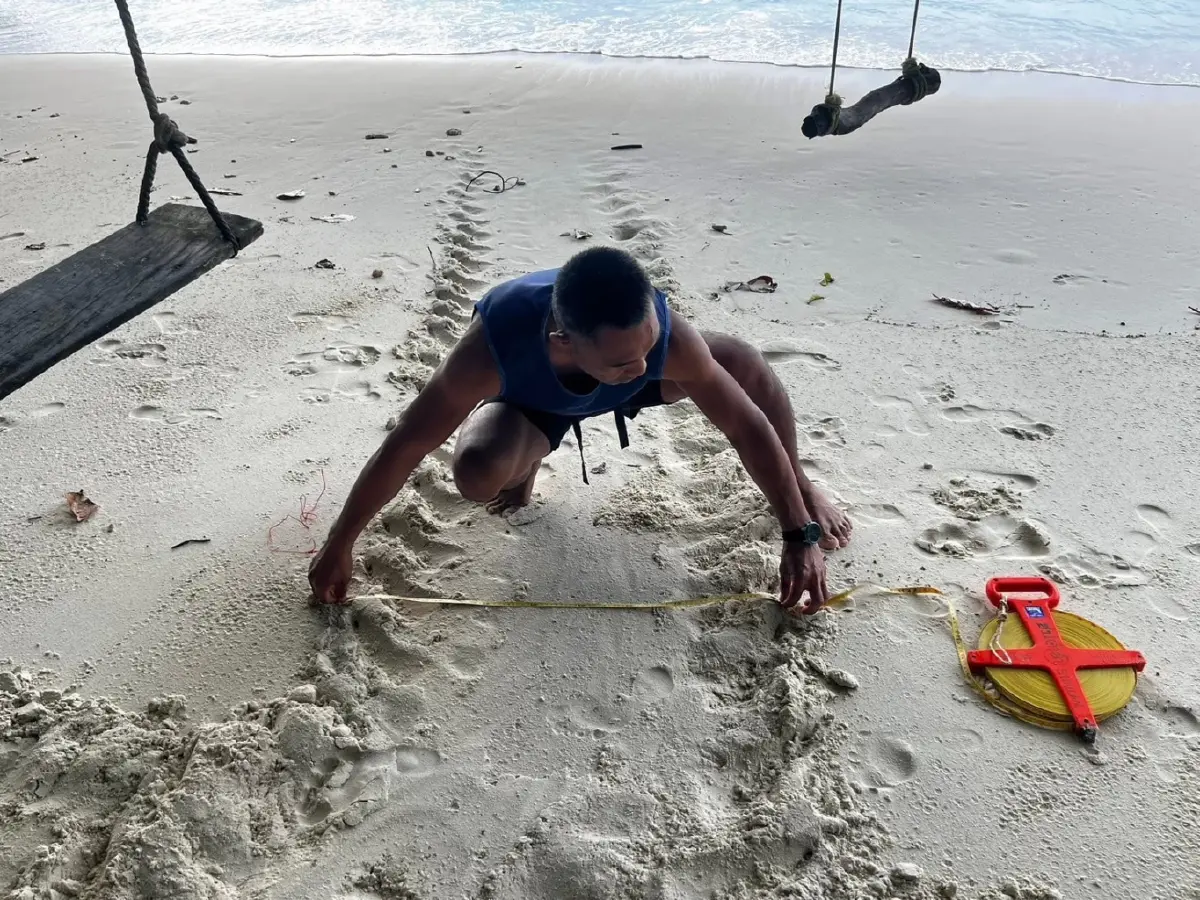 วันส่งท้ายปีเก่า ต้อนรับปีใหม่ 2569 ลูกเต่าตนุ 71 ตัวรังแรกของฤดูกาล