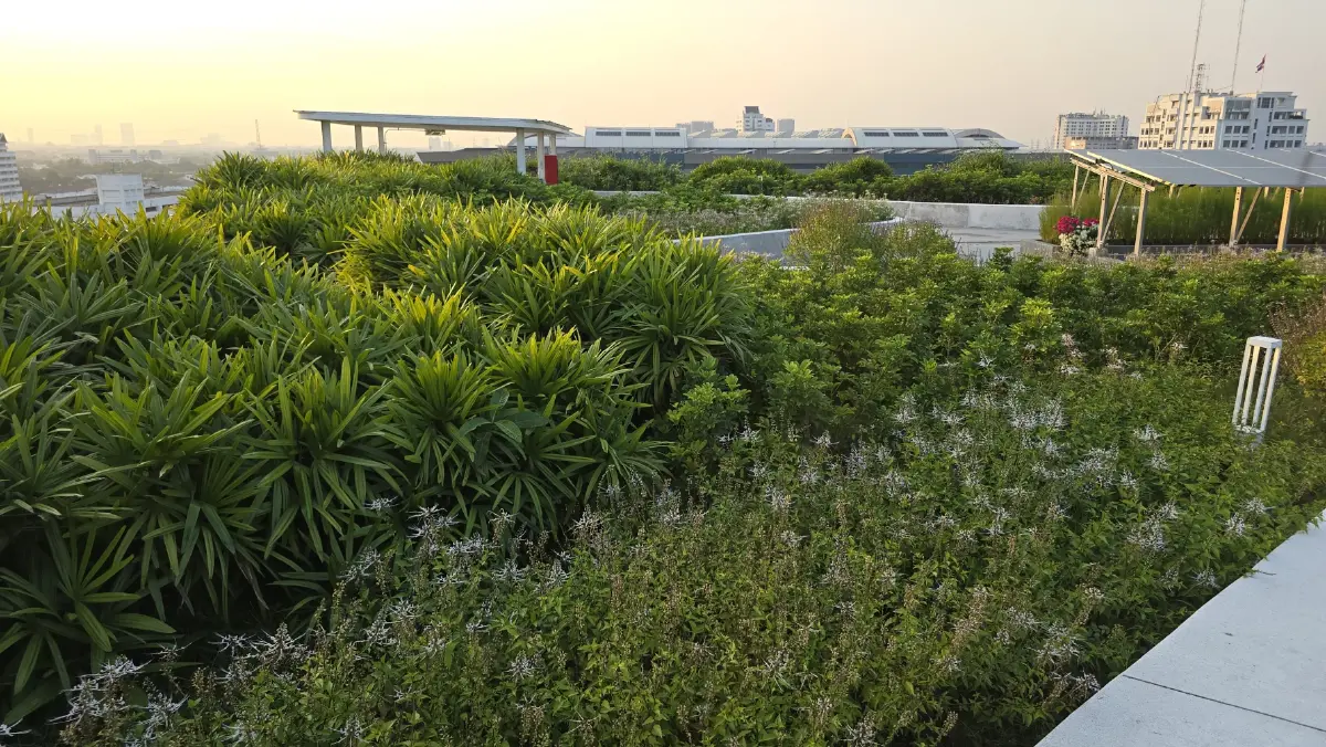 เปิดตัว ‘สวนลอยฟ้า’ใหญ่ที่สุดในไทย ‘A-D Sky Park’ และ ฟองน้ำยักษ์ แห่งศูนย์ราชการ