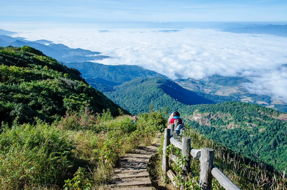 ‘เดินป่า’ เทรนด์เที่ยวภูเขาแรงจัด! ดันยอดค้นหาที่พัก ‘เชียงใหม่’ พุ่ง 254%