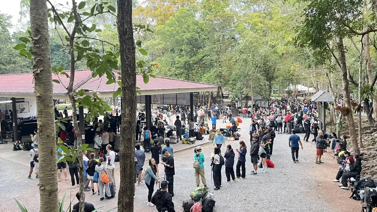 เข้าฟรีวันพ่อ! 'ภูกระดึง' คึกคัก นักท่องเที่ยวทะลุ 2,500 คน แห่สัมผัสอากาศหนาว