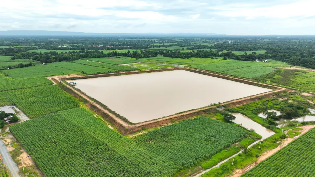 มิตรผล โอเอซิส พลิกวิกฤติน้ำด้วย โอเอซิสเพื่อการเกษตร สร้างความยั่งยืนเกษตรกรไทย