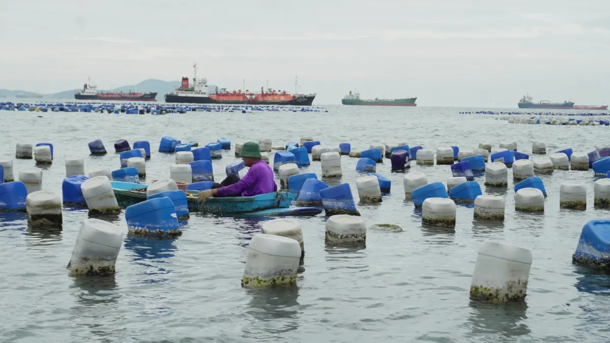 เที่ยวศรีราชา ปักหมุด 'ชุมชนบ้านใน' เรียนรู้การอนุรักษ์ สัมผัสวิถีทะเลใกล้กรุง