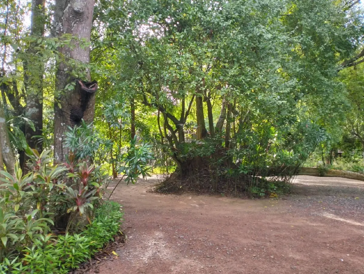 สุขภาพดี-ชีวิตที่ยั่งยืน ทำแล้วมีความสุข  ฉบับ ‘ลุงเจ๋ง’ คนธรรมดา