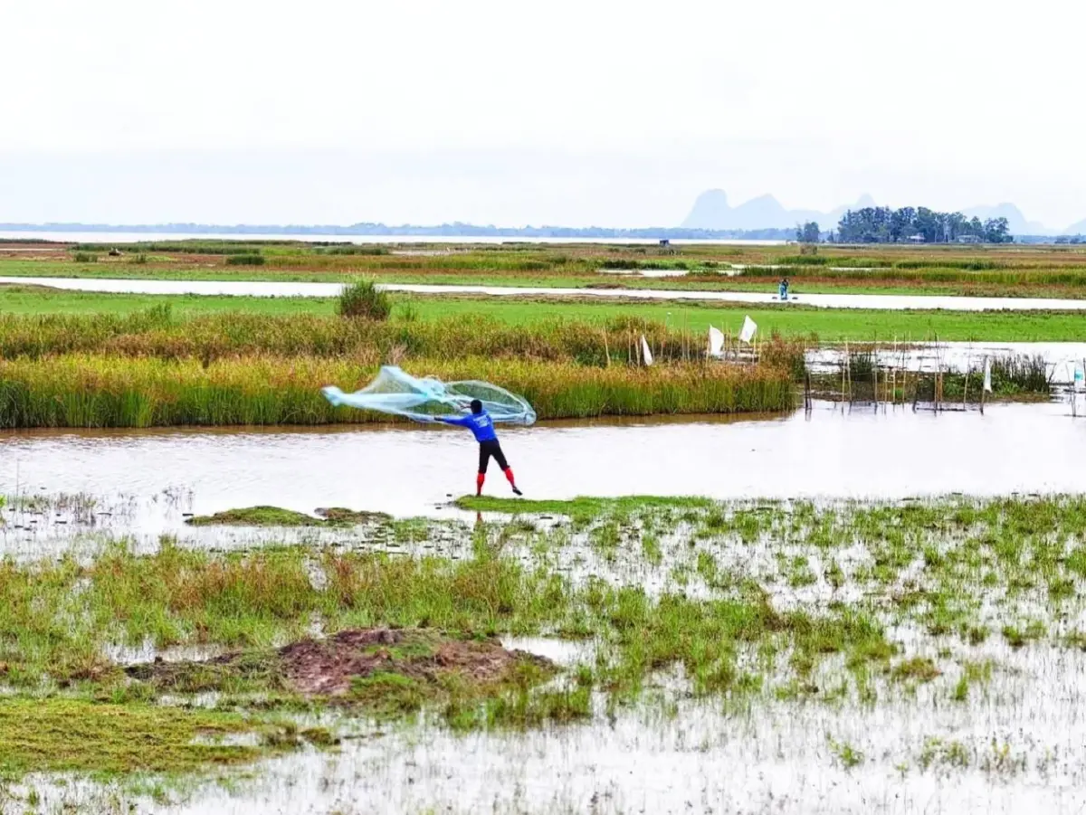 ฟื้นฟูหลังมหาอุทกภัย ไม่ใช่แค่ตัวเมือง แต่ให้รวมถึงระบบนิเวศทะเลสาบสงขลา