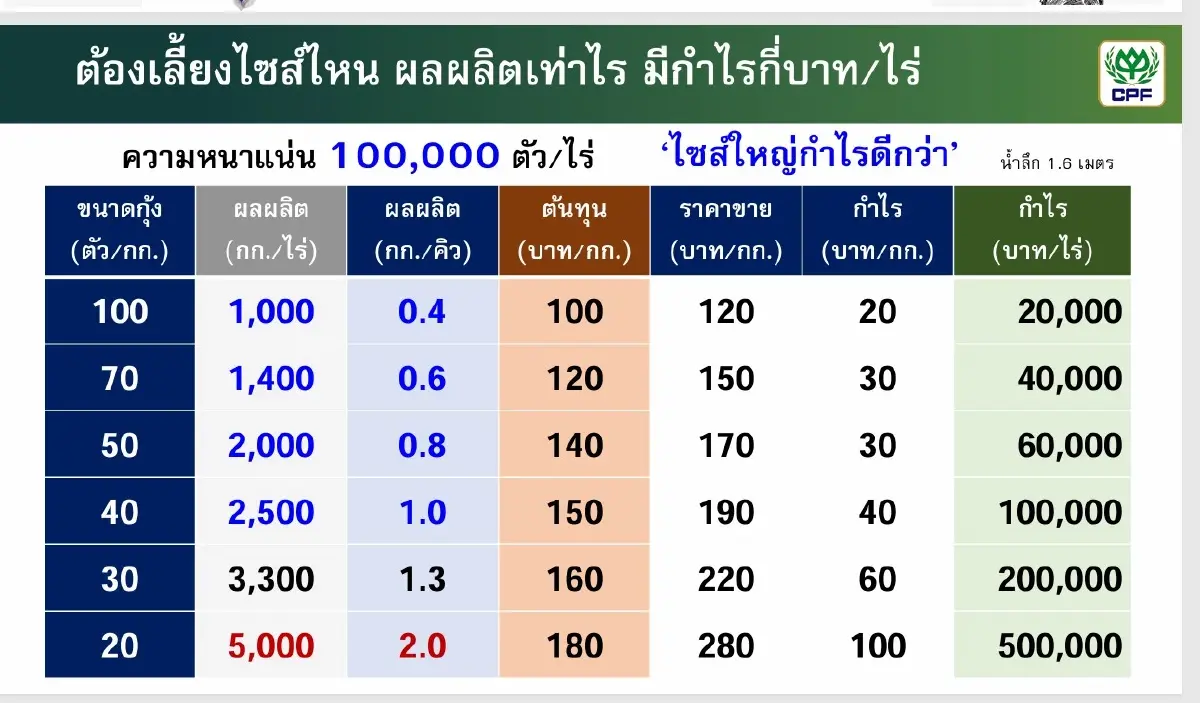 ซีพีเอฟ เปิดสูตรเลี้ยงกุ้งอย่างไรให้ได้กำไรอย่างยั่งยืน