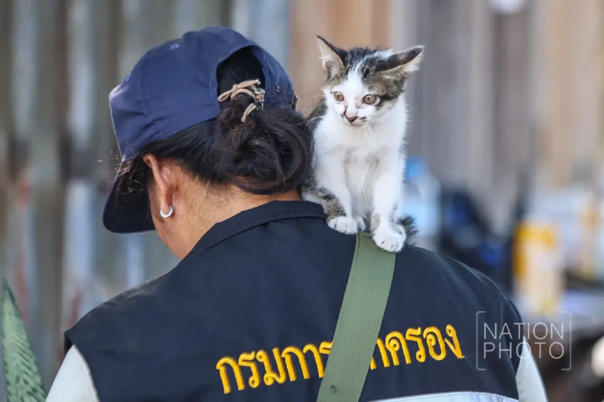 ยังปะทะต่อเนื่อง ตรวจเข้มห้ามปชช.กลับเข้าพื้นที่ชายแดนกันทรลักษ์โดยเด็ดขาด