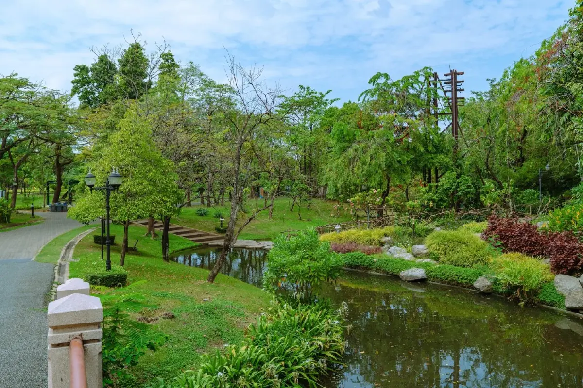 รับแดดอุ่นที่สวนสมเด็จพระนางเจ้าสิริกิติ์ ป่าเล็กในเมืองใหญ่