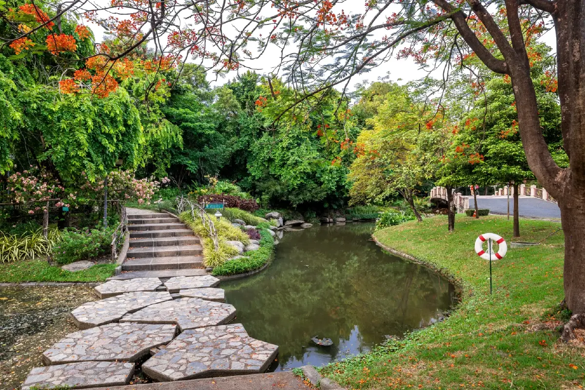 รับแดดอุ่นที่สวนสมเด็จพระนางเจ้าสิริกิติ์ ป่าเล็กในเมืองใหญ่