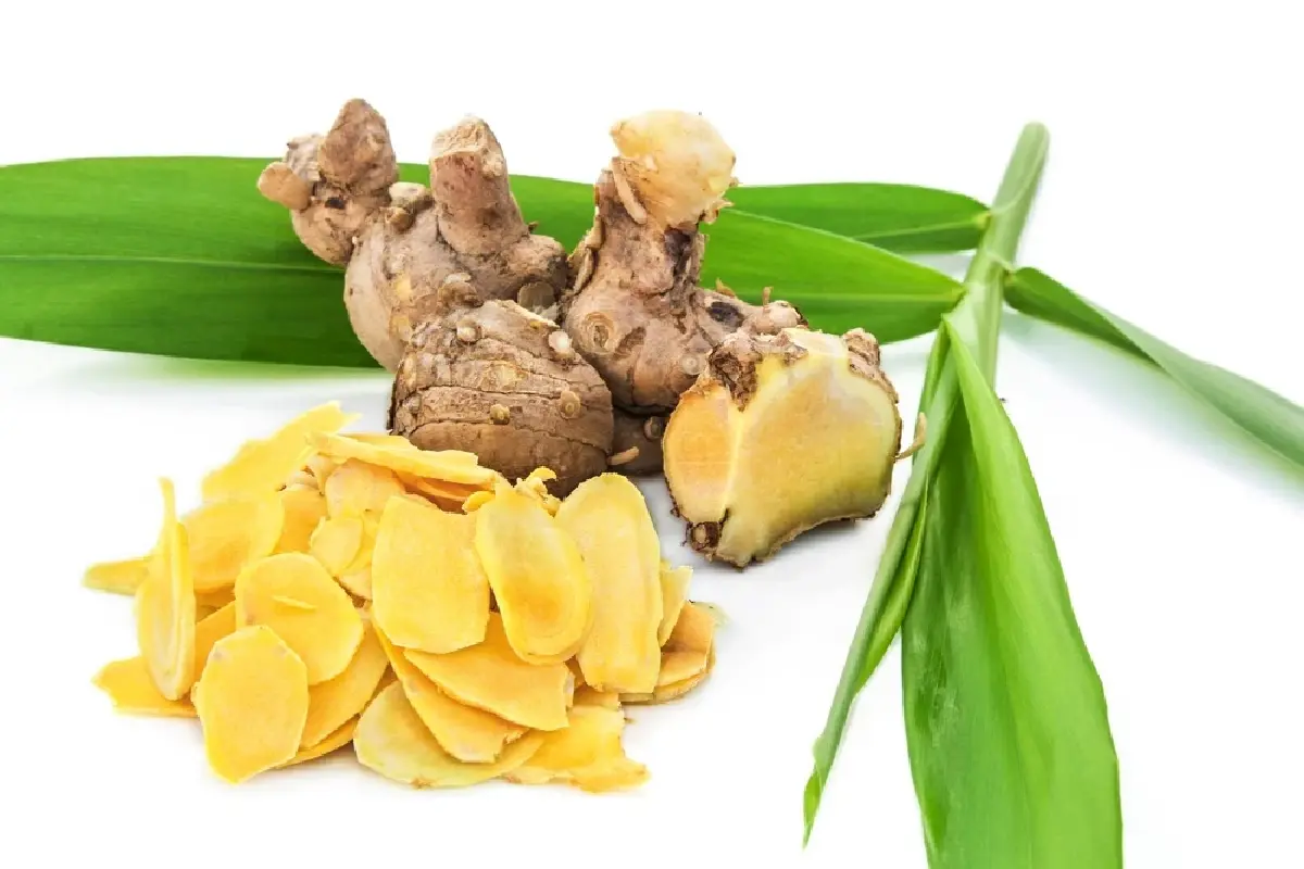 วว.ผนึกเอกชนชั้นนำในไทยและต่างชาติ ยกระดับเทคโนโลยีชีวภาพไทย