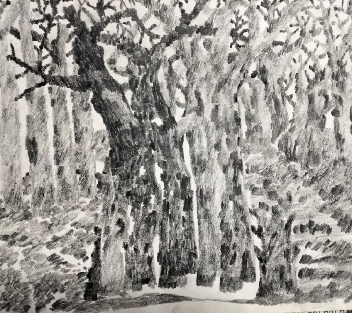 สุขภาพดี-ชีวิตที่ยั่งยืน ทำแล้วมีความสุข  ฉบับ ‘ลุงเจ๋ง’ คนธรรมดา