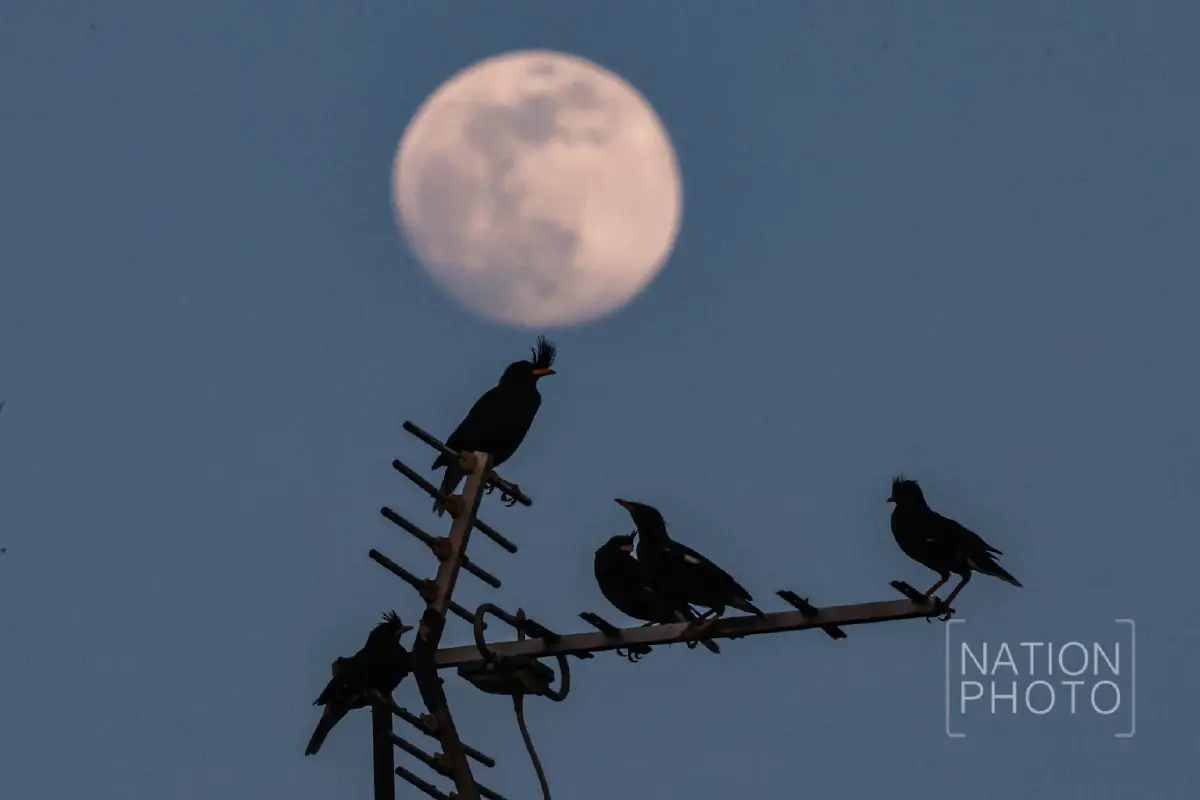 คืนวันที่ 4 ธ.ค. ชวนดู 'ซูเปอร์ฟูลมูน' ครั้งสุดท้ายของปี 2568 มองเห็นด้วยตาเปล่า