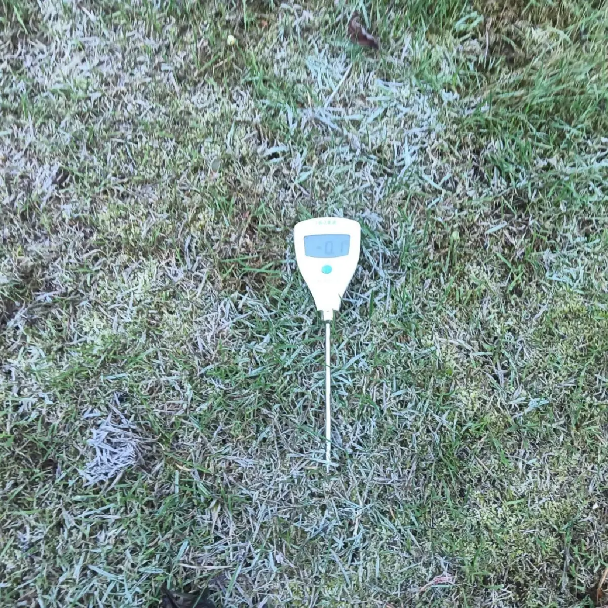 'ดอยอินทนนท์' หนาวจัด 'เหมยขาบ' โผล่ขาวโพลน เดือน พ.ย. แห่เที่ยวทะลุ 2 หมื่นคน