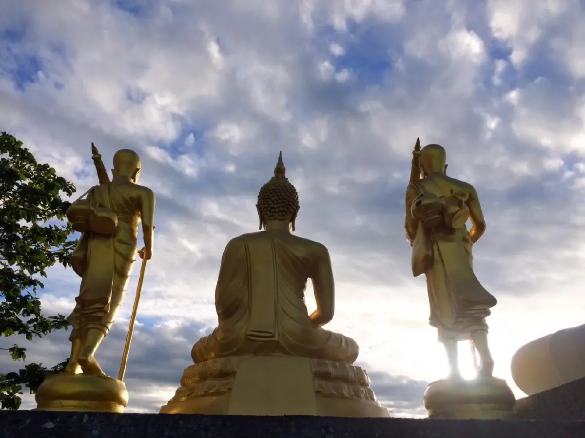 ขนุนดิน โผล่กลางวัดป่าเทพรังสี จ.เลย พืชแปลก อาศัยรากพืชอื่นเลี้ยงชีพ