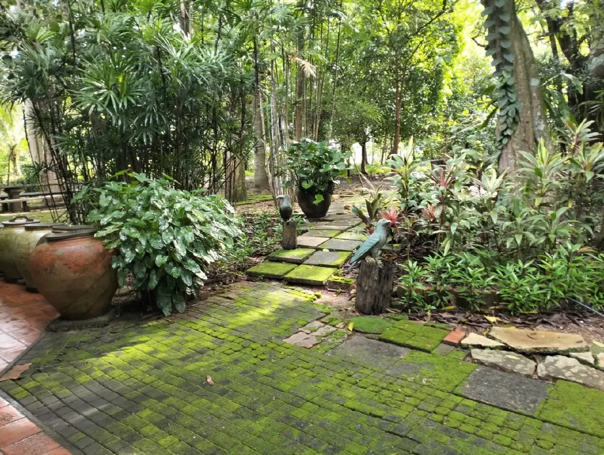 สุขภาพดี-ชีวิตที่ยั่งยืน ทำแล้วมีความสุข  ฉบับ ‘ลุงเจ๋ง’ คนธรรมดา