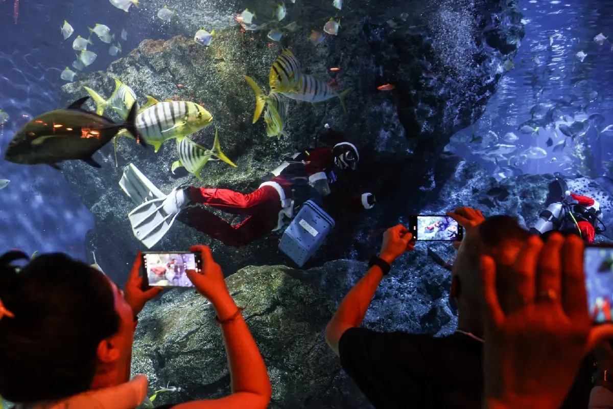 SEA LIFE Bangkok มอบของขวัญในเทศกาลความสุข กับ Santa Dive and Christmas Carol