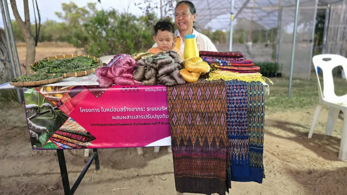 พลิกฟื้นเศรษฐกิจ 'ร้อยเอ็ด' ด้วย 'มะเขือเทศ' V-PROMPT- 'โคเนื้อ' KULA BEEF