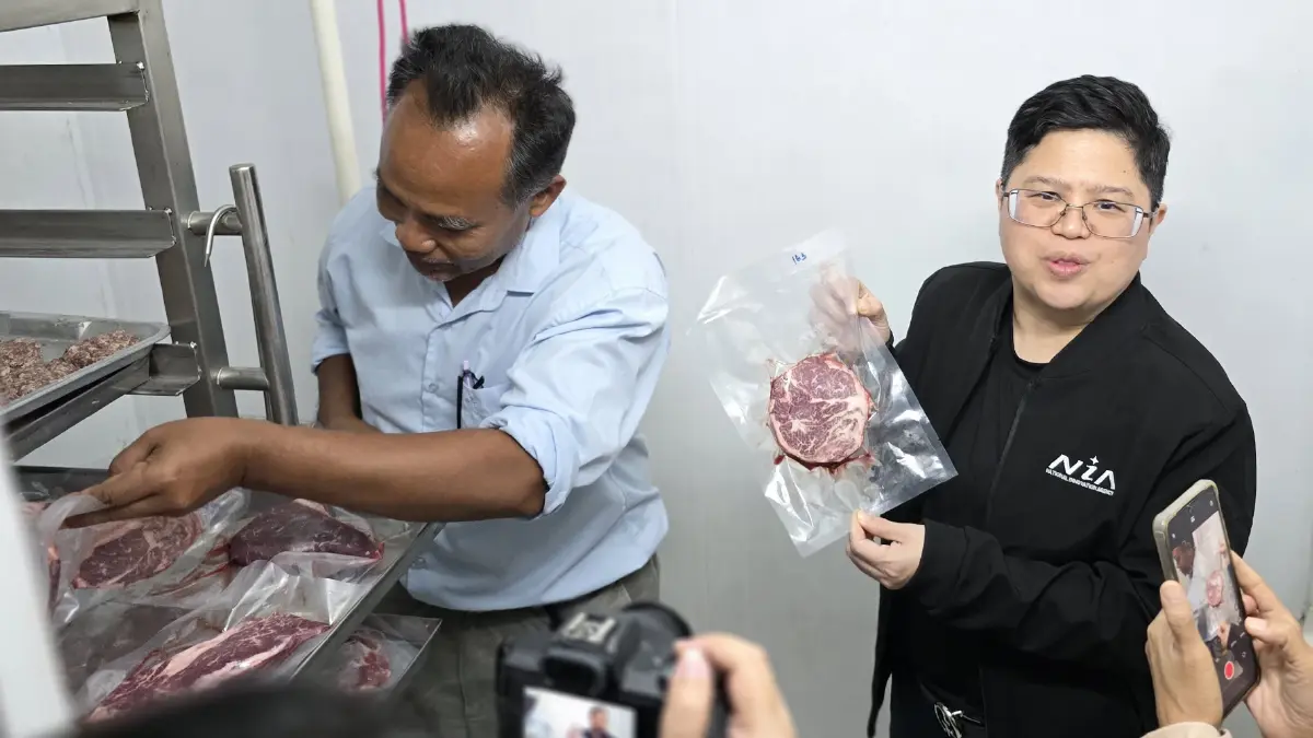 พลิกฟื้นเศรษฐกิจ 'ร้อยเอ็ด' ด้วย 'มะเขือเทศ' V-PROMPT- 'โคเนื้อ' KULA BEEF